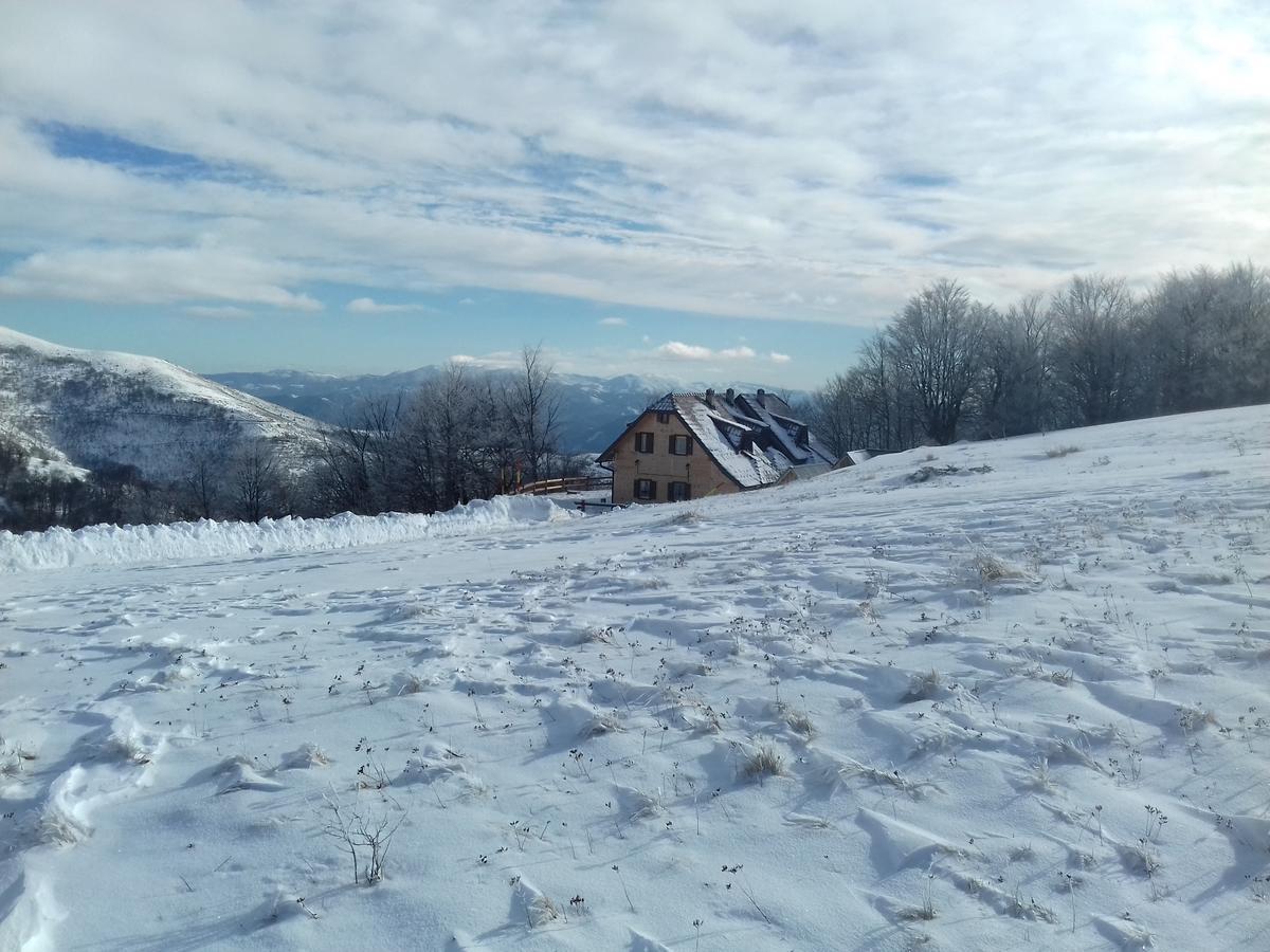 הוילה קופאוניק Vikendica Vila Despotovic מראה חיצוני תמונה