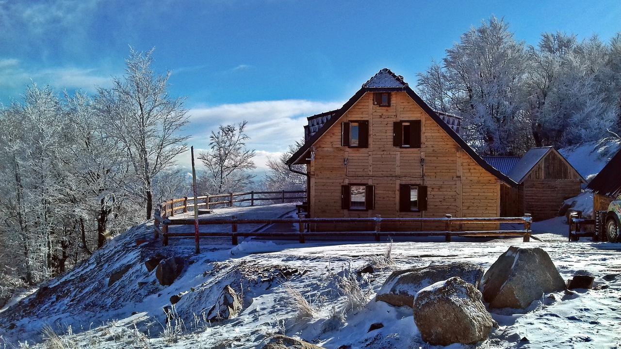 הוילה קופאוניק Vikendica Vila Despotovic מראה חיצוני תמונה