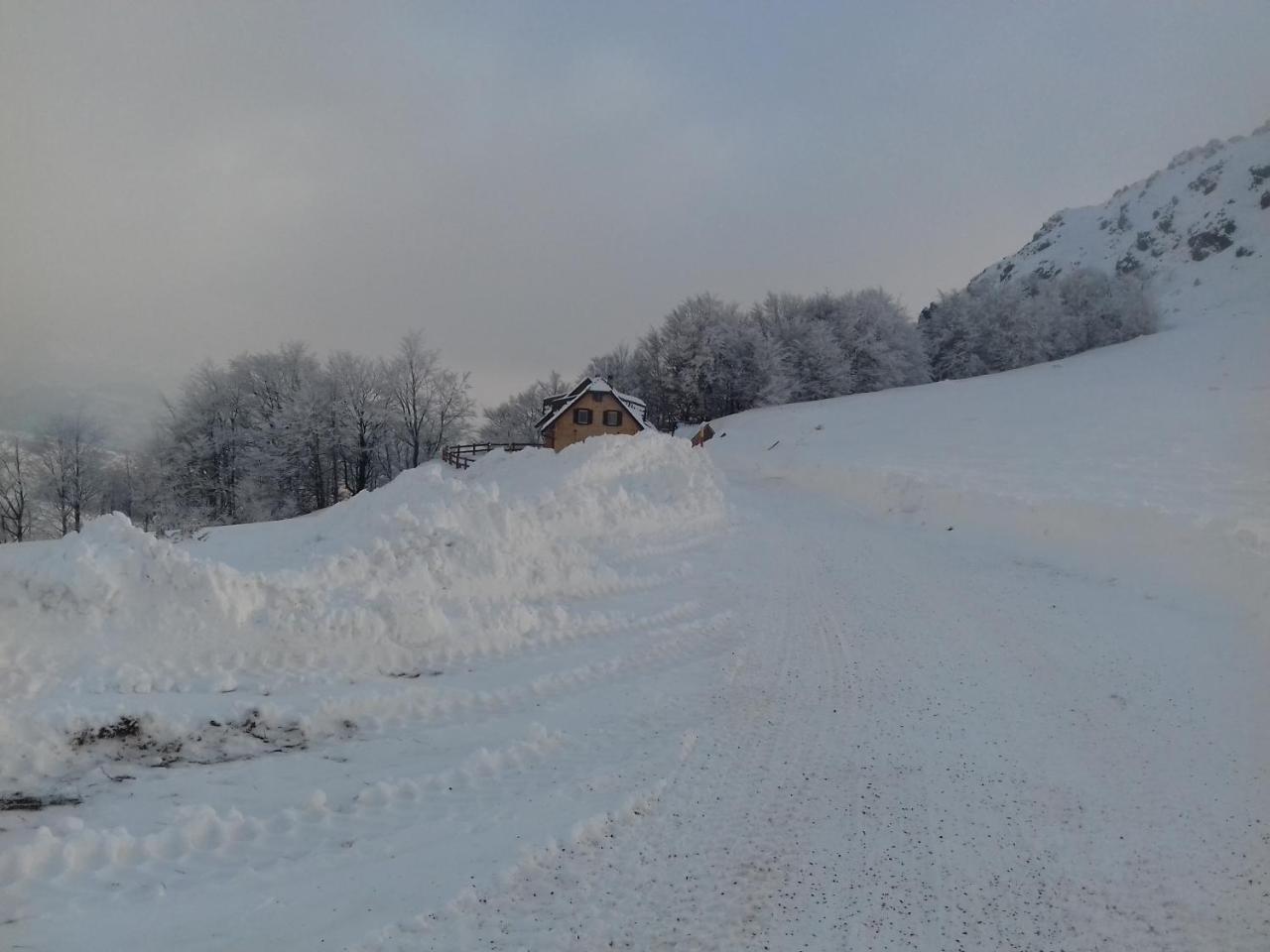 הוילה קופאוניק Vikendica Vila Despotovic מראה חיצוני תמונה